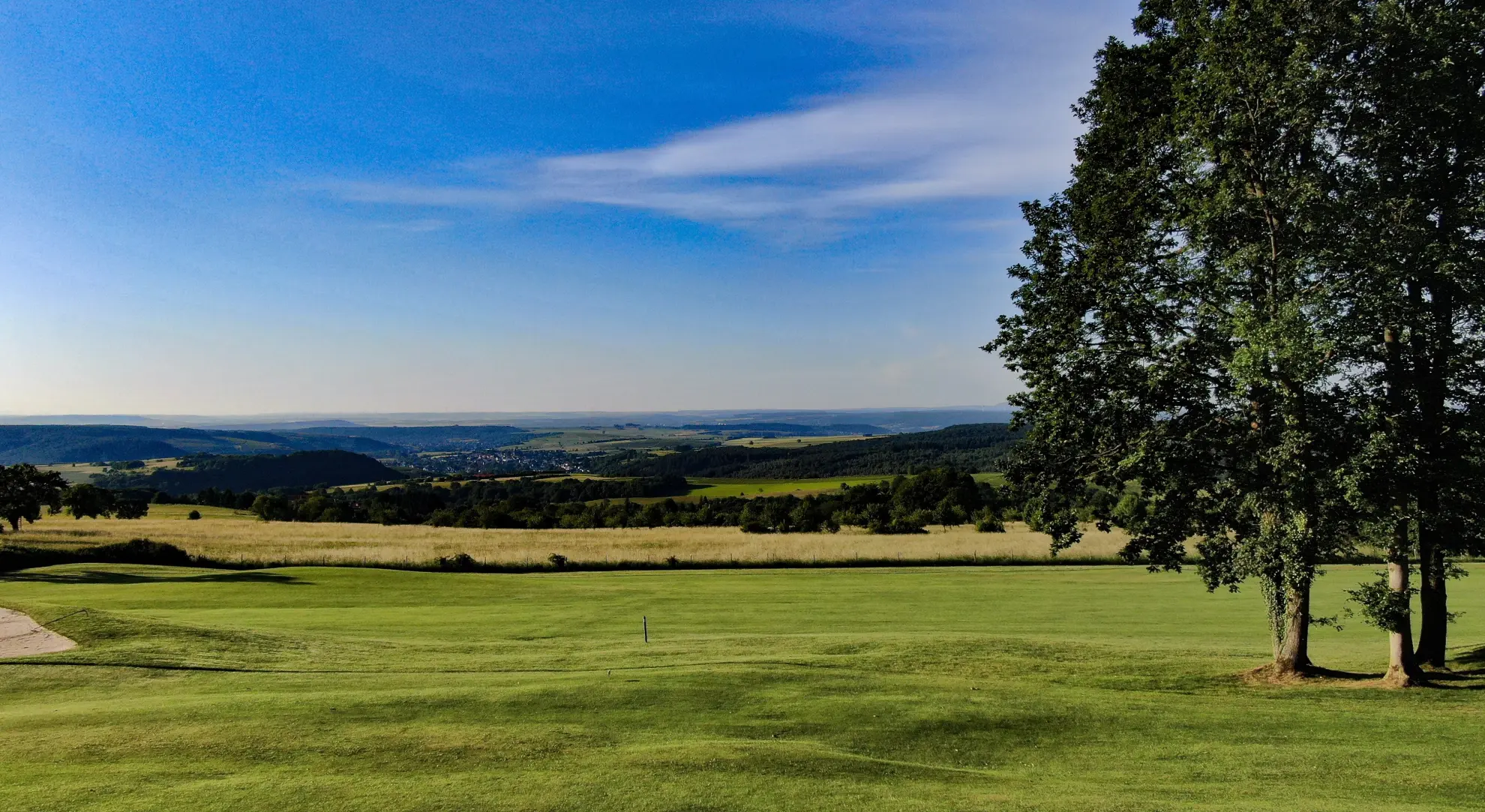 Gruener Golfplatz mit Baeumen Bahn 9
