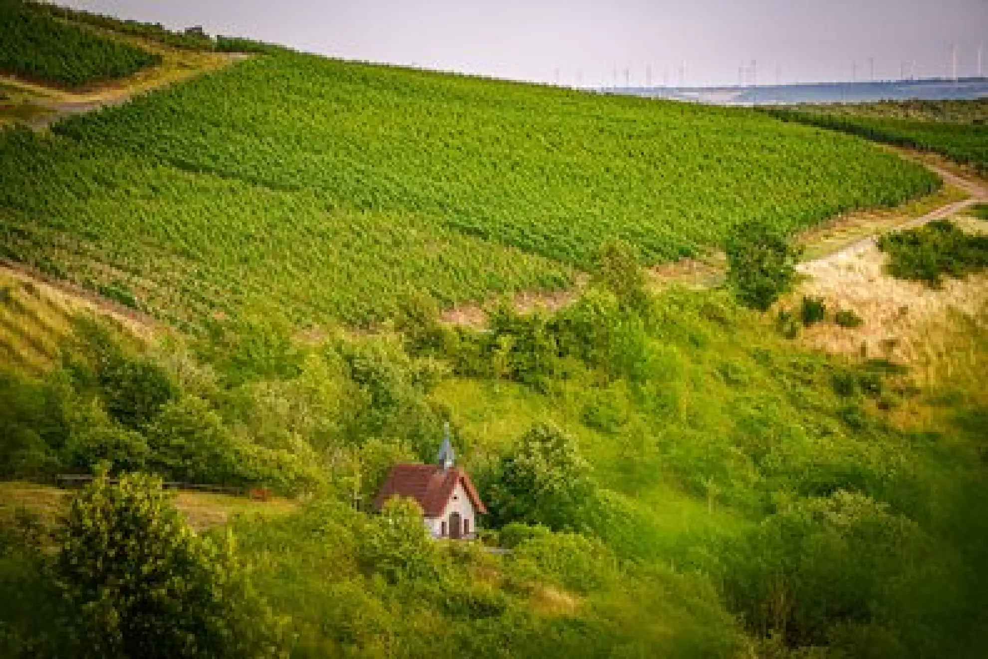 Weinberge mit Kapelle ReneNolte soonteam