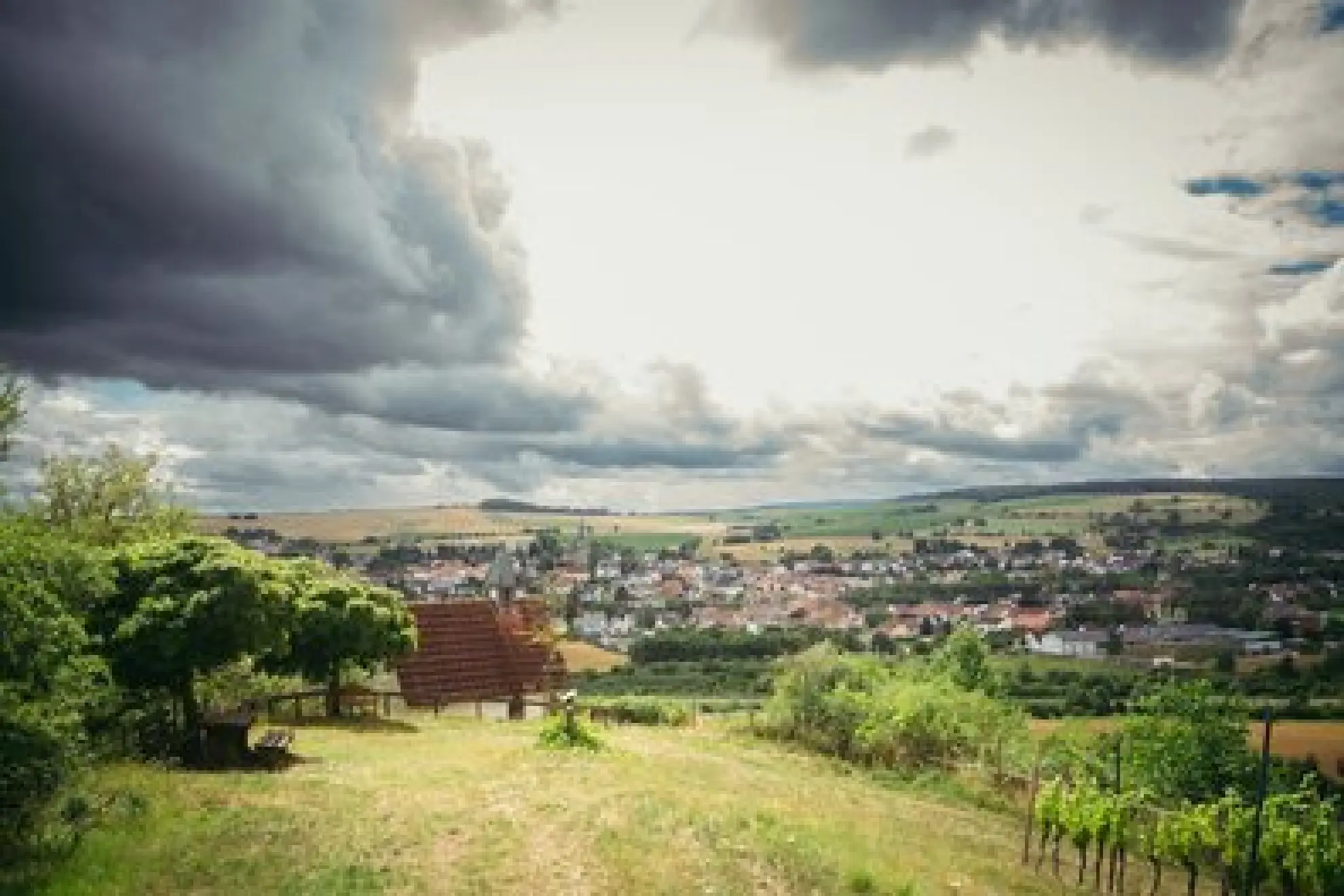Panorama Blick auf die Daecher der Stadt mit Kapelle und Weinbergen ReneNolte soonteam