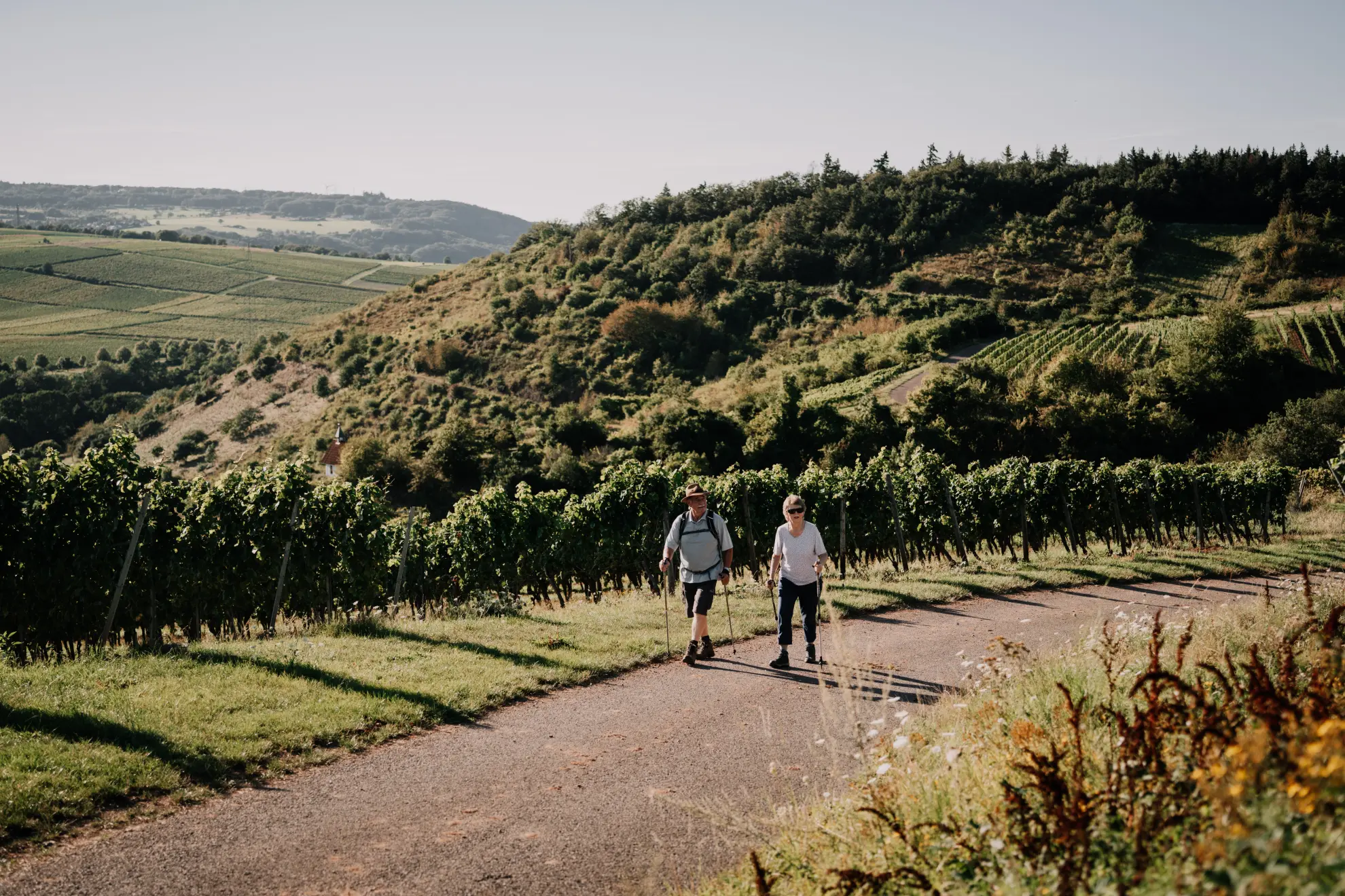 fabiolopics Wanderer im Weinberg