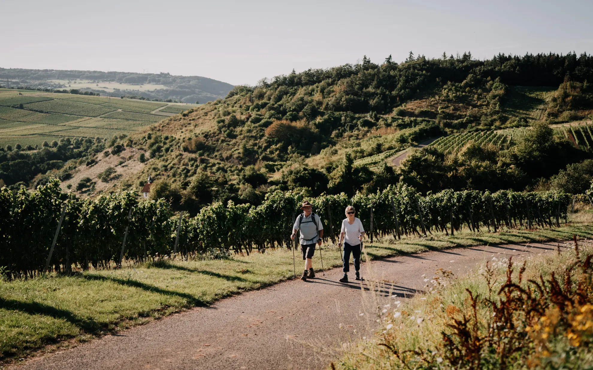 fabiolopics Wanderer im Weinberg